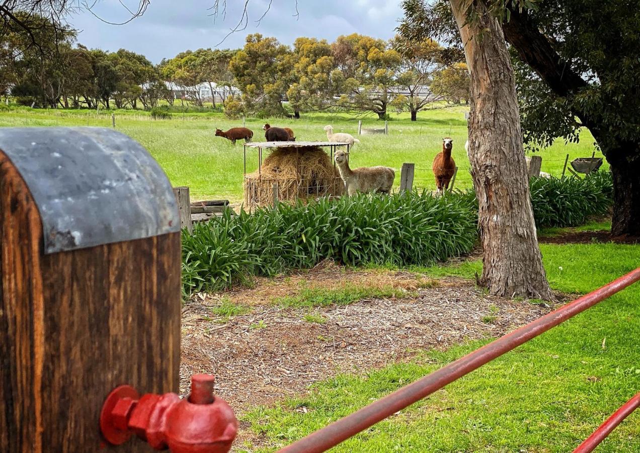 Cherry Plum Cottages Port Fairy Kültér fotó