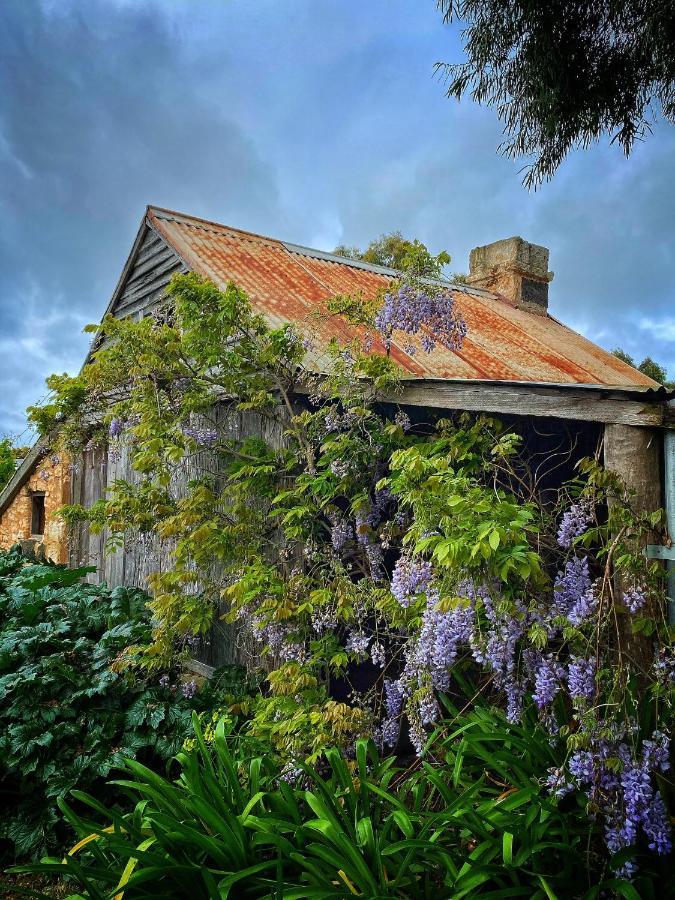 Cherry Plum Cottages Port Fairy Kültér fotó